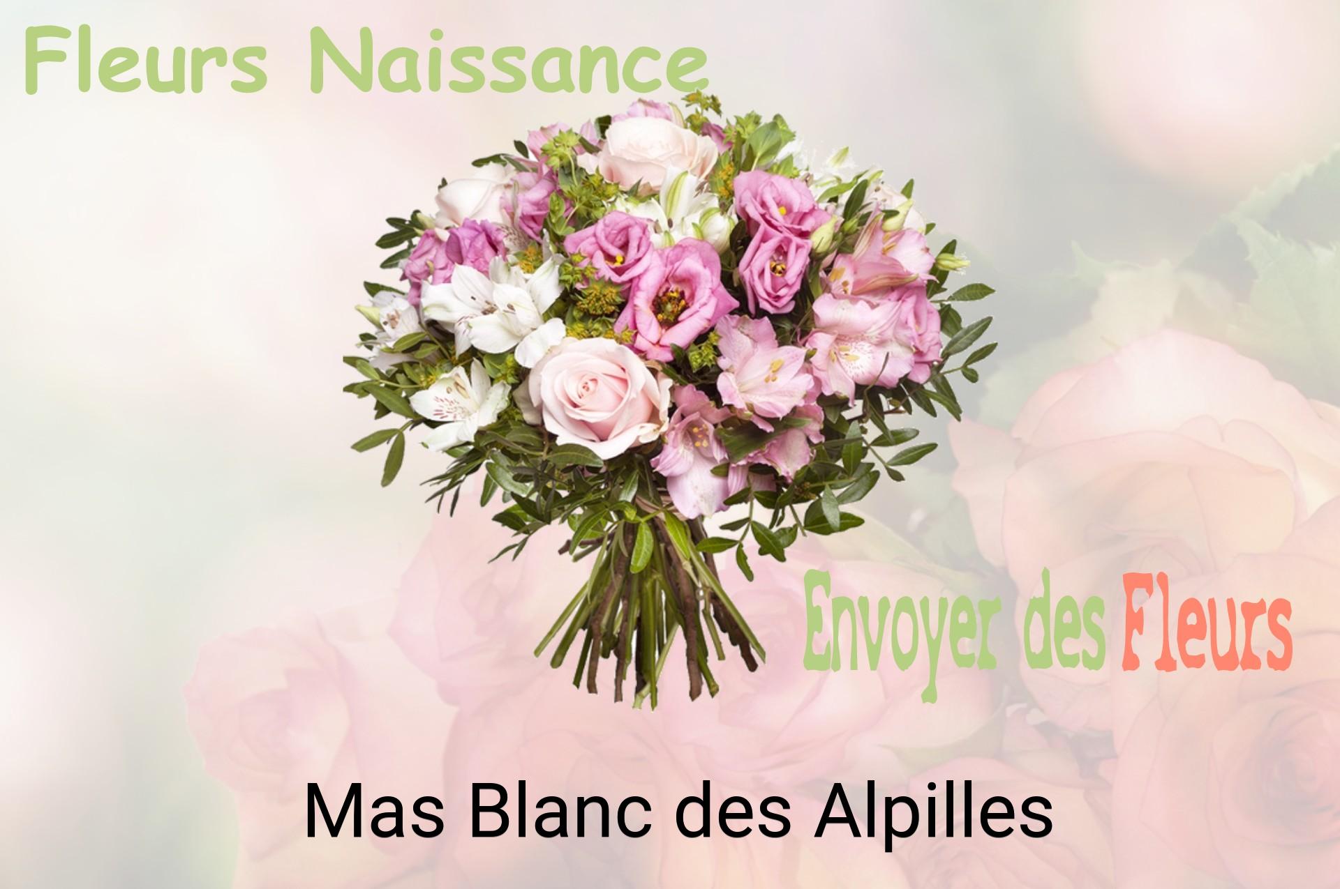 Bouquet de fleurs de naissance livré à Mas-Blanc-des-Alpilles
